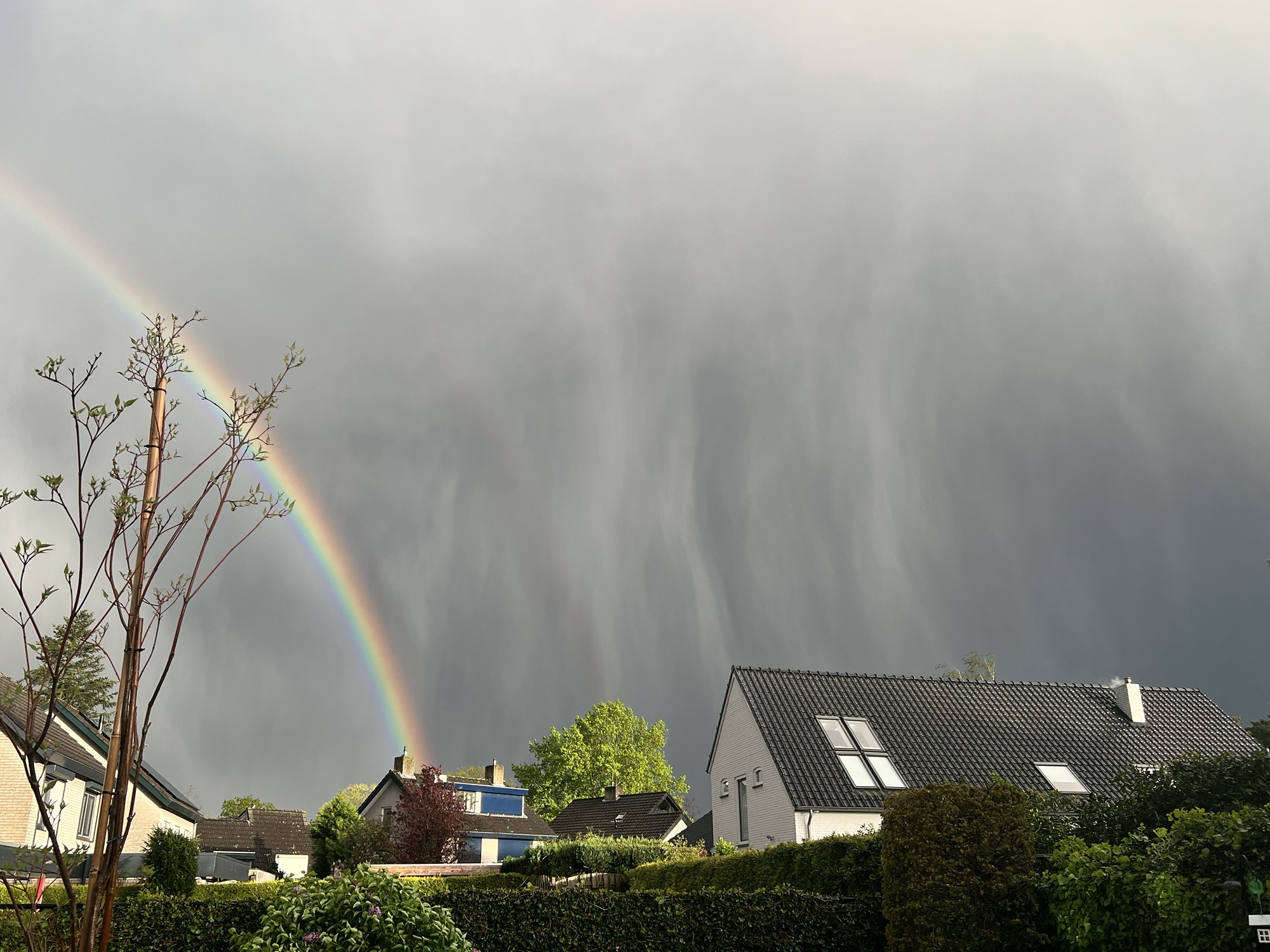 Stormy nature