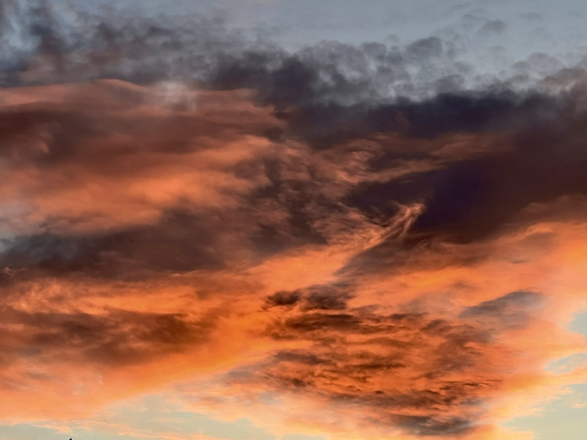 Beautiful clouds