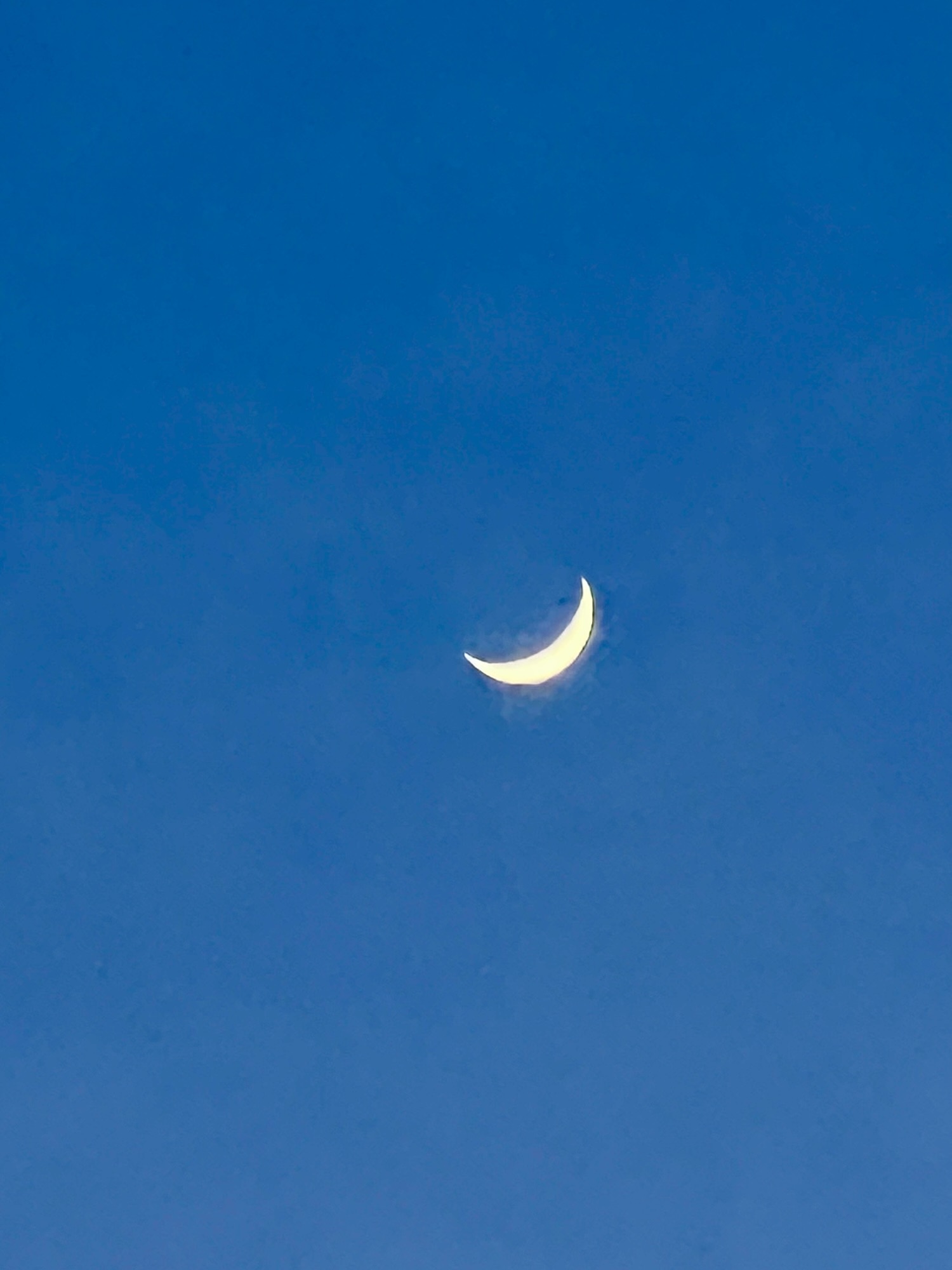 Nice Shekel Moon